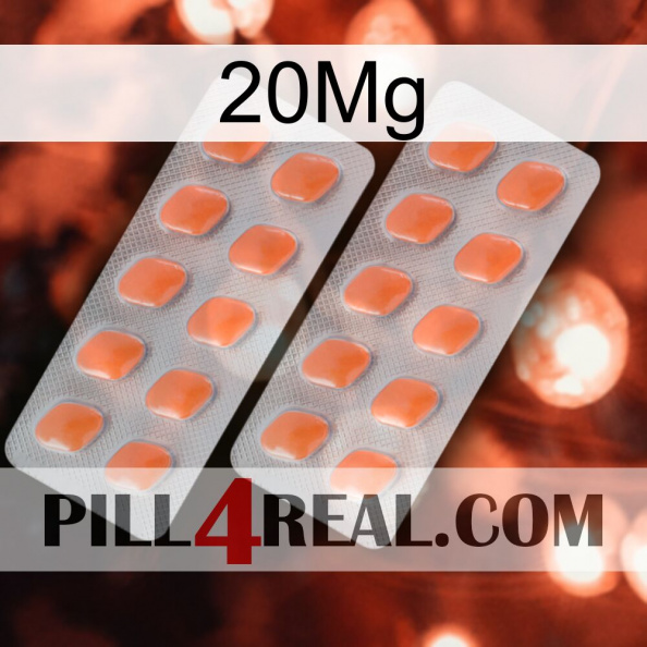 20Mg 27.jpg